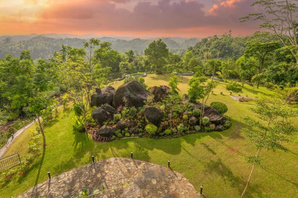 Nature immersive experience