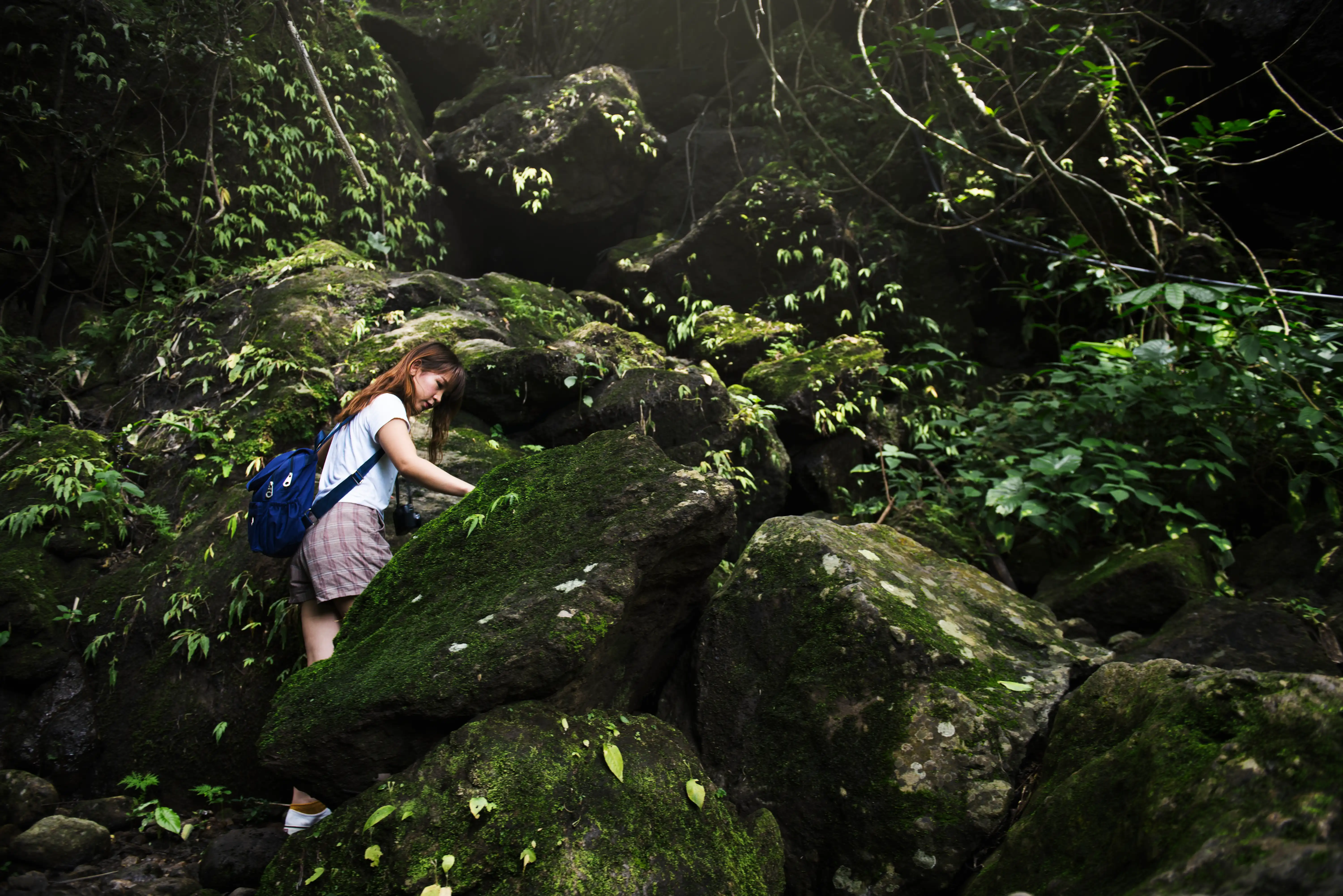 Kanneliya & Sinharaja Forest Guided Tour
