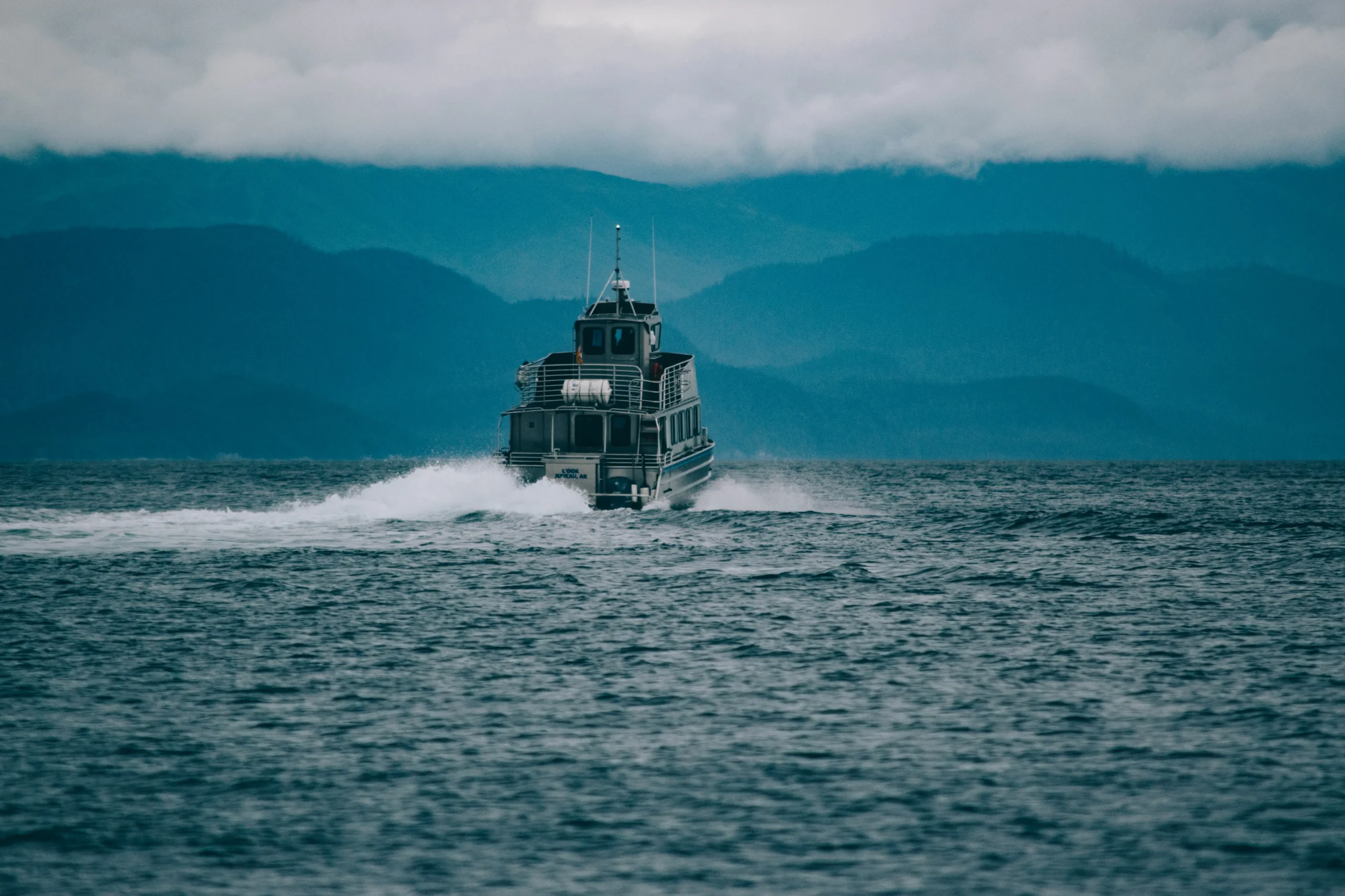 Dolphins and whales in Mirissa